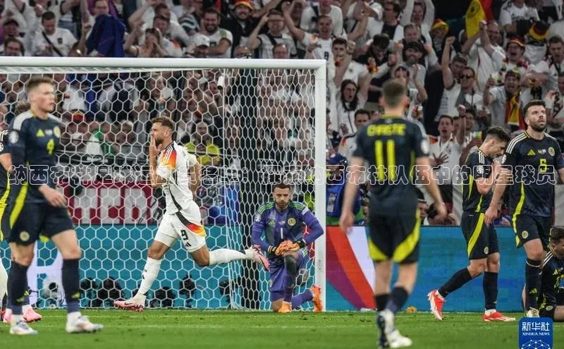 熊猫体育直播app下载壹网壹创纳西布林足球运动员名单：探索纳西布林队伍中的明星球员