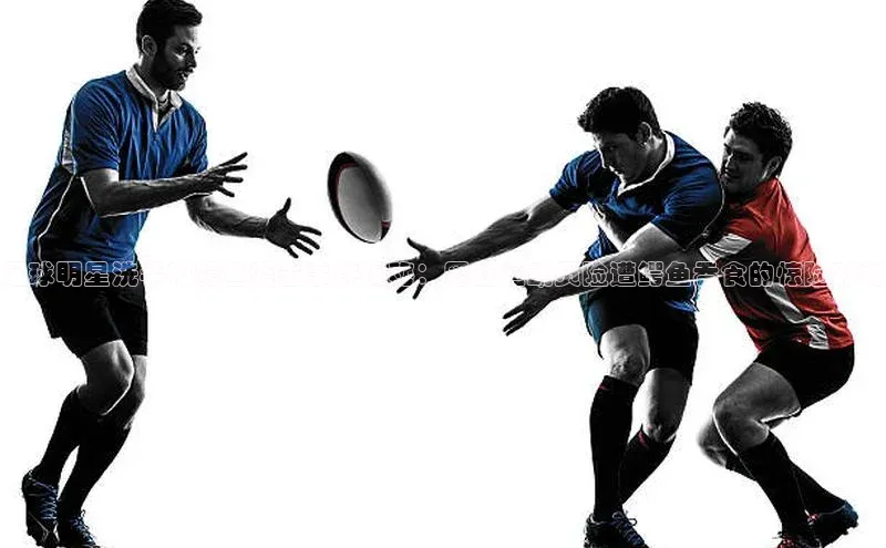 熊猫体育app官方入口梯哥哥科技足球明星洗手被鳄鱼袭击事件揭秘：网红运动员险遭鳄鱼吞食的惊险时刻