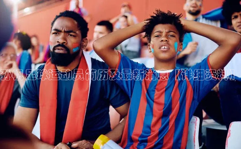 熊猫体育平台官网百度翻译App孙帆足球运动员简历及最新消息【详细资料】