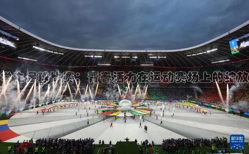 熊猫体育直播app下载壹网壹创学生足球比赛：青春活力在运动赛场上的绽放