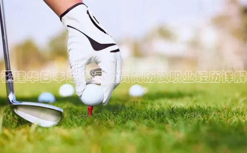 熊猫体育手机版下载金山办公霍建华日本足球运动员简历及职业经历详解