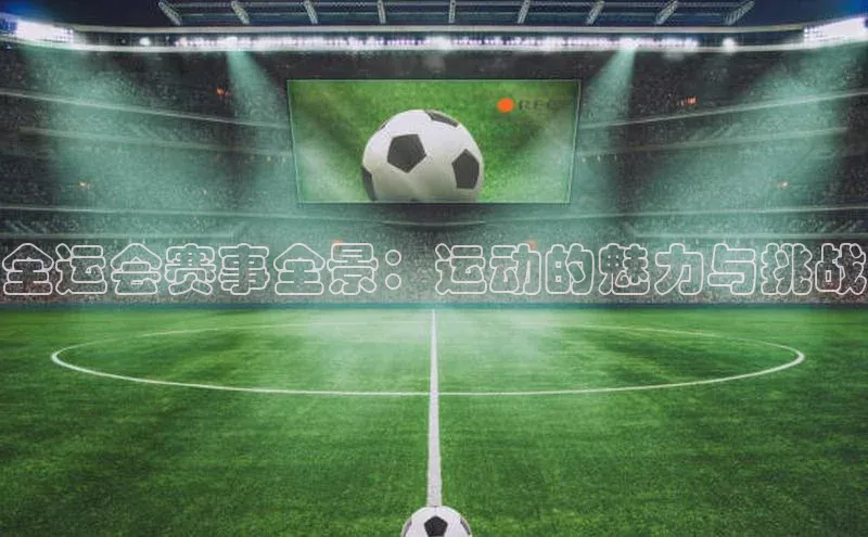 全运会赛事全景：运动的魅力与挑战