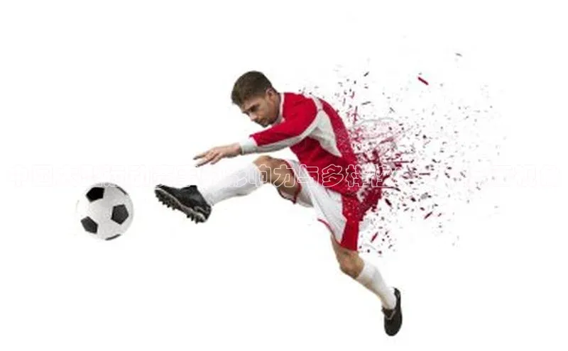 中国大型运动赛事的影响力与多样性：一个全面视角