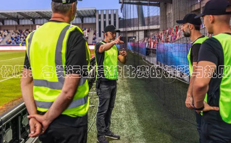 极限：各类运动竞技比赛的精彩与规则