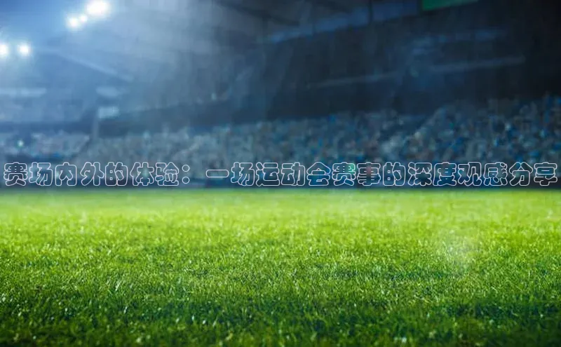 赛场内外的体验：一场运动会赛事的深度观感分享