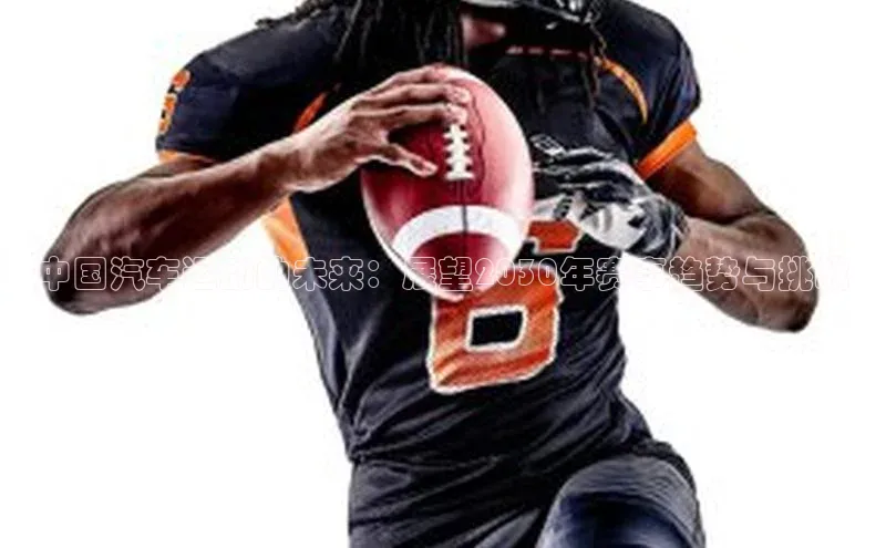 中国汽车运动的未来：展望2030年赛事趋势与挑战