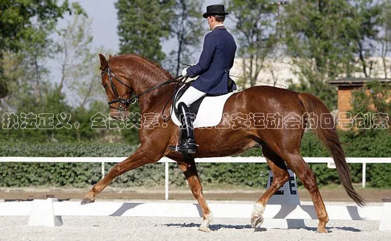 执法正义，全民共享：庆祝公安运动会的口号创意