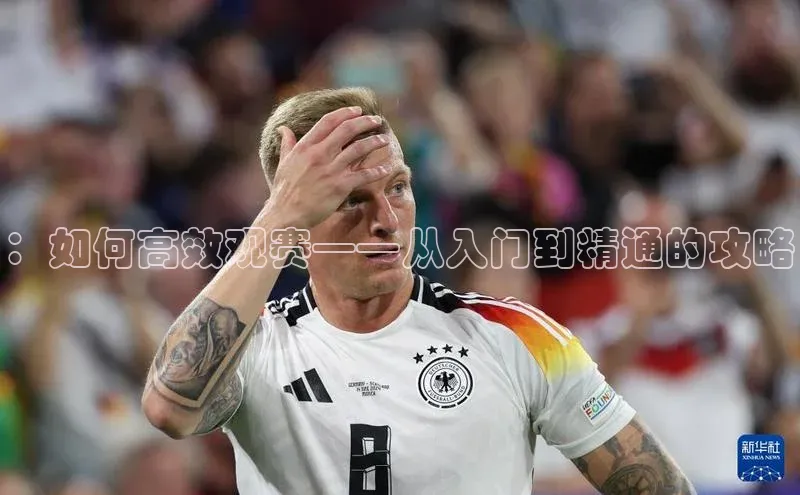 ：如何高效观赛——从入门到精通的攻略