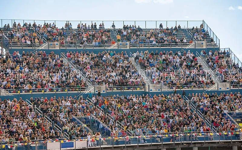 运动赛事中的举牌艺术：胜利的信号与精神传递