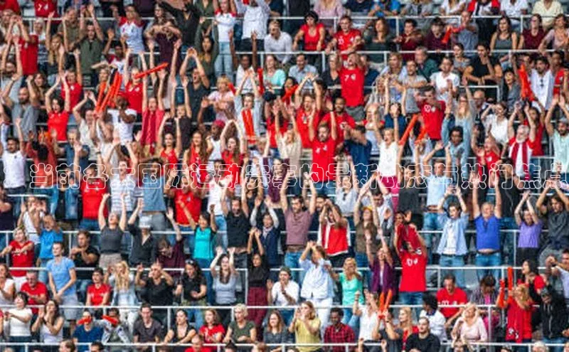 ：当前各大国际运动赛事的最新动态与热门焦点