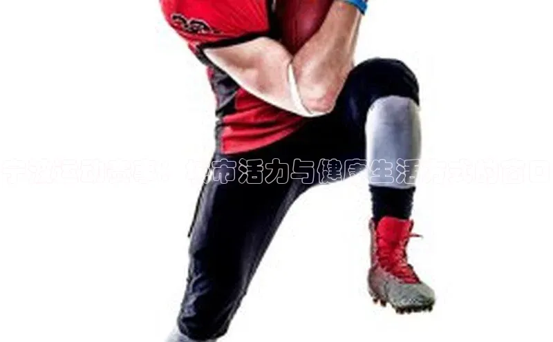 宁波运动赛事：城市活力与健康生活方式的窗口