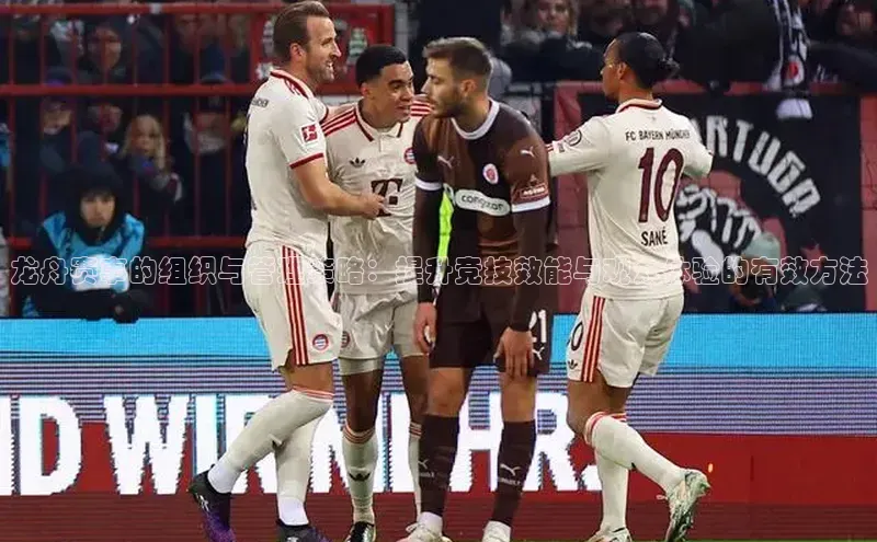 熊猫体育app官网