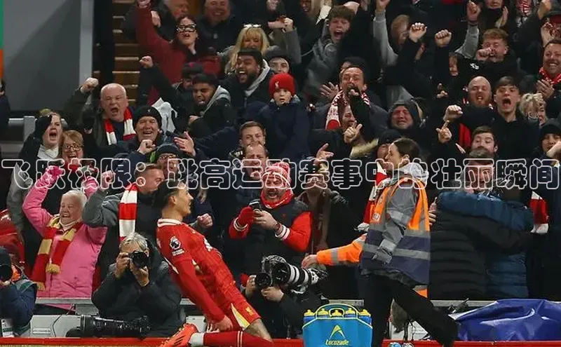 飞跃极限：跳高运动赛事中的壮丽瞬间