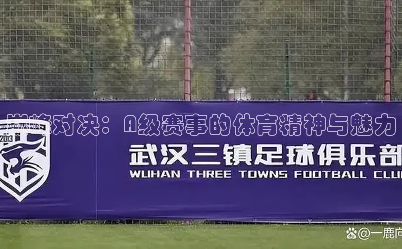 巅峰对决：A级赛事的体育精神与魅力
