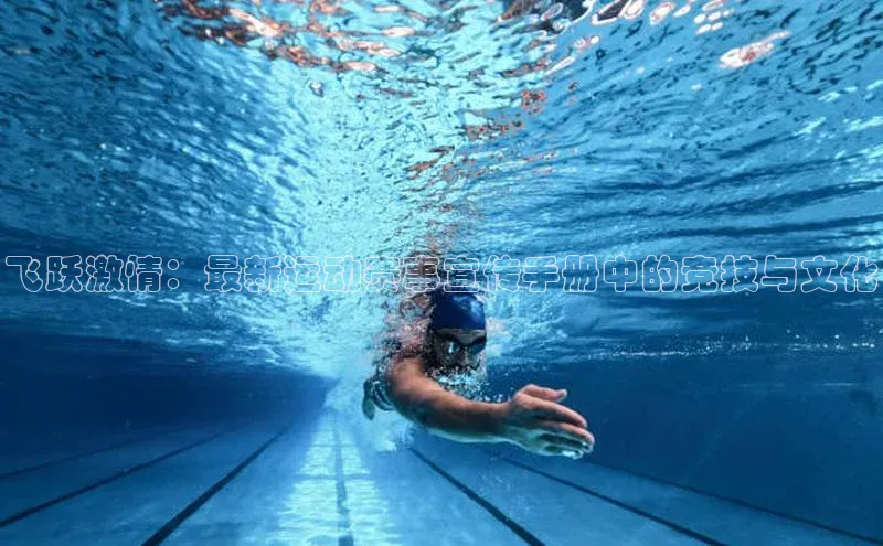 飞跃激情：最新运动赛事宣传手册中的竞技与文化