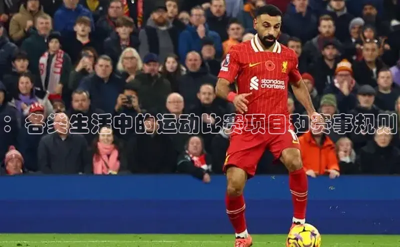 ：各类生活中的运动比赛项目和赛事规则