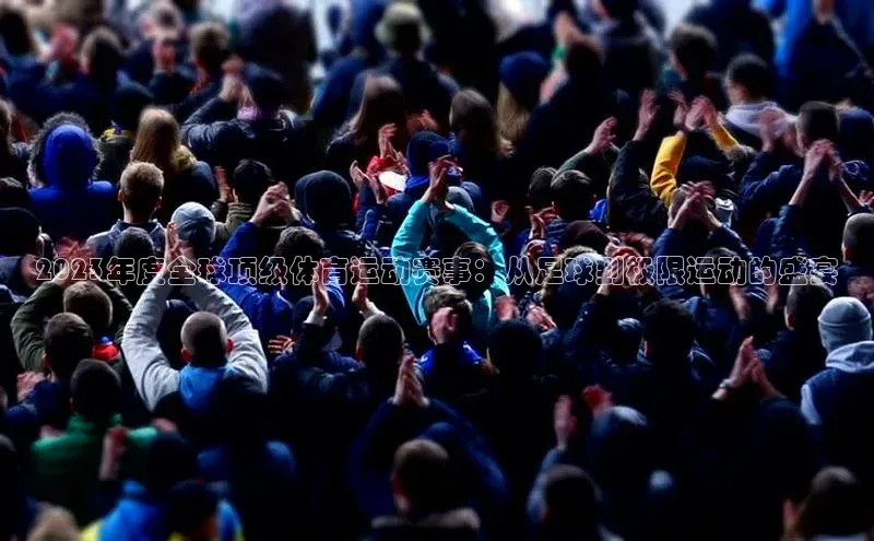 熊猫体育直播app