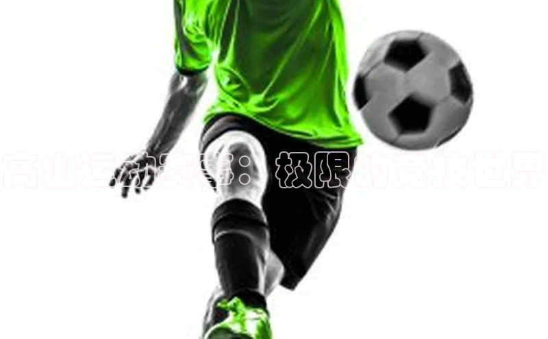 熊猫体育官方网站