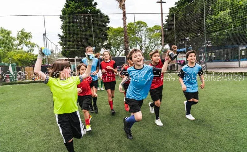 全球运动赛事收入分析：顶级体育赛事的经济影响力