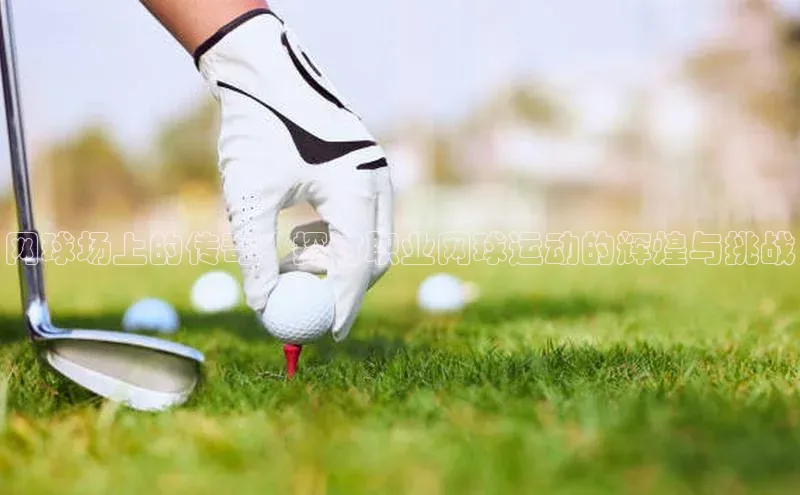 网球场上的传奇：探讨职业网球运动的辉煌与挑战